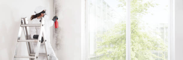 Best Forensic Mold Investigation  in Greenacres, CA